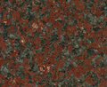 African Red Dark